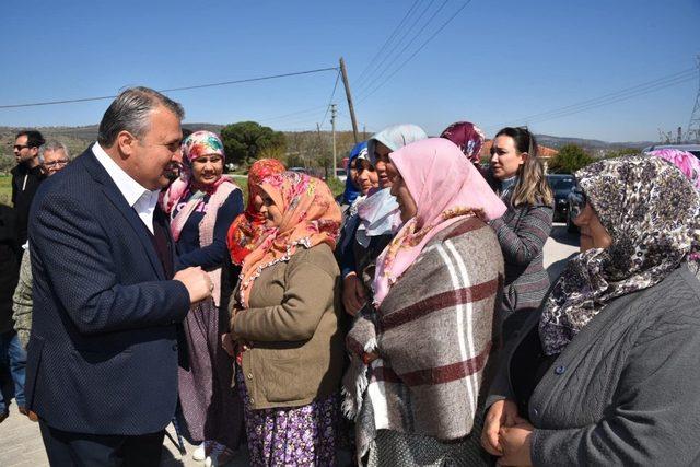 Akgedikliler tapularına kavuştu