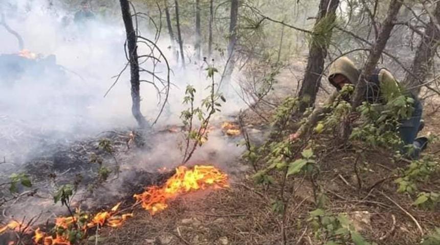 Kütahya’da orman yangını
