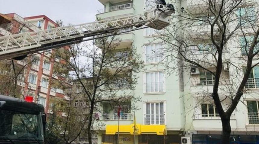 Ağaçta mahsur kalan kuşu itfaiye ekipleri kurtardı