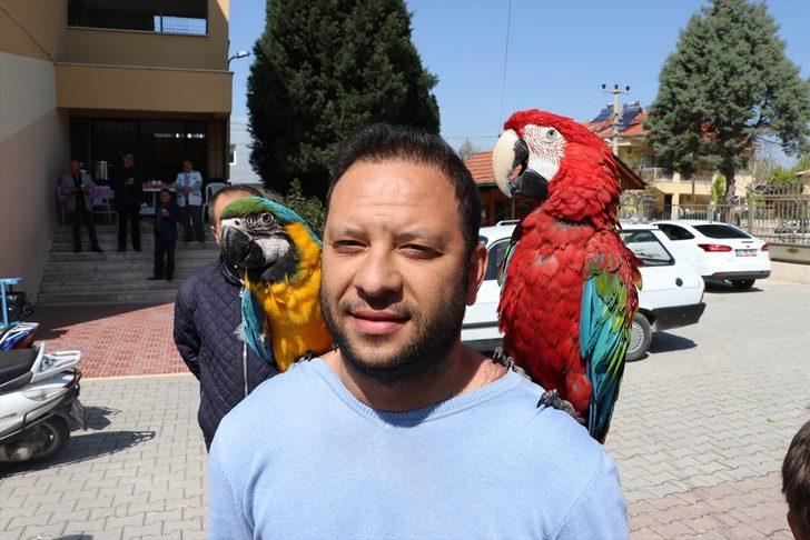 Papağanlarıyla sandıkta oyunu kullandı G1