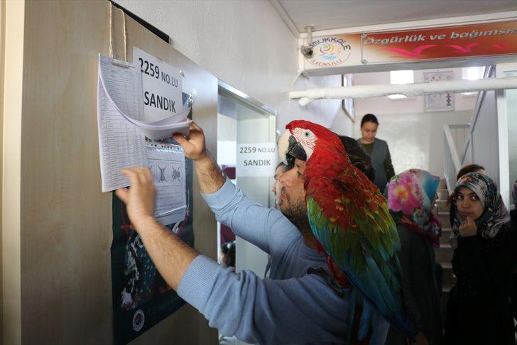 Papağanlarıyla sandıkta oyunu kullandı G2