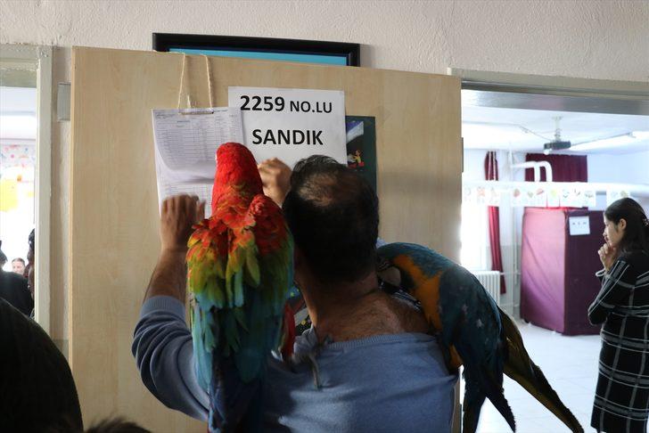 Papağanlarıyla sandıkta oyunu kullandı G3