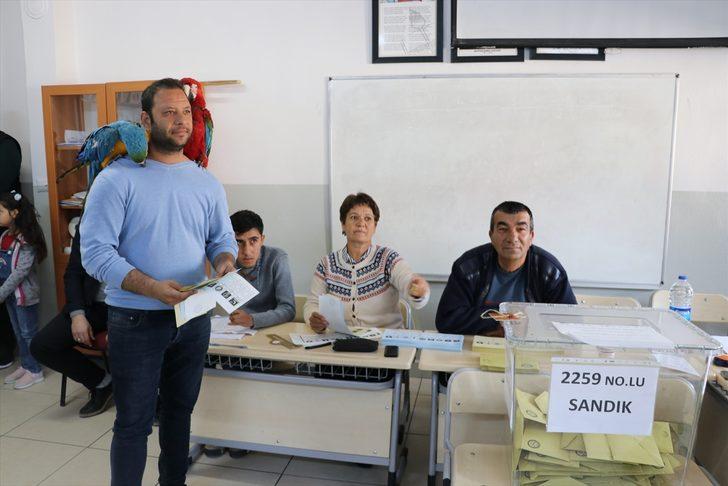 Papağanlarıyla sandıkta oyunu kullandı G4