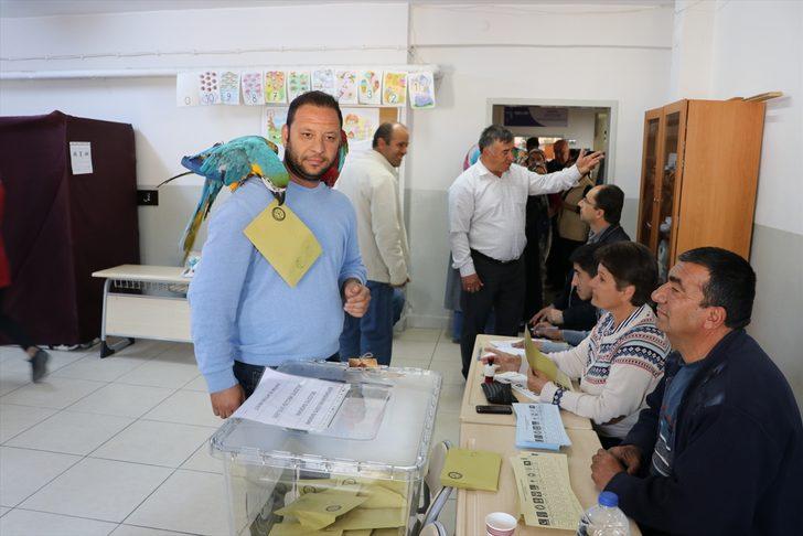 Papağanlarıyla sandıkta oyunu kullandı G5