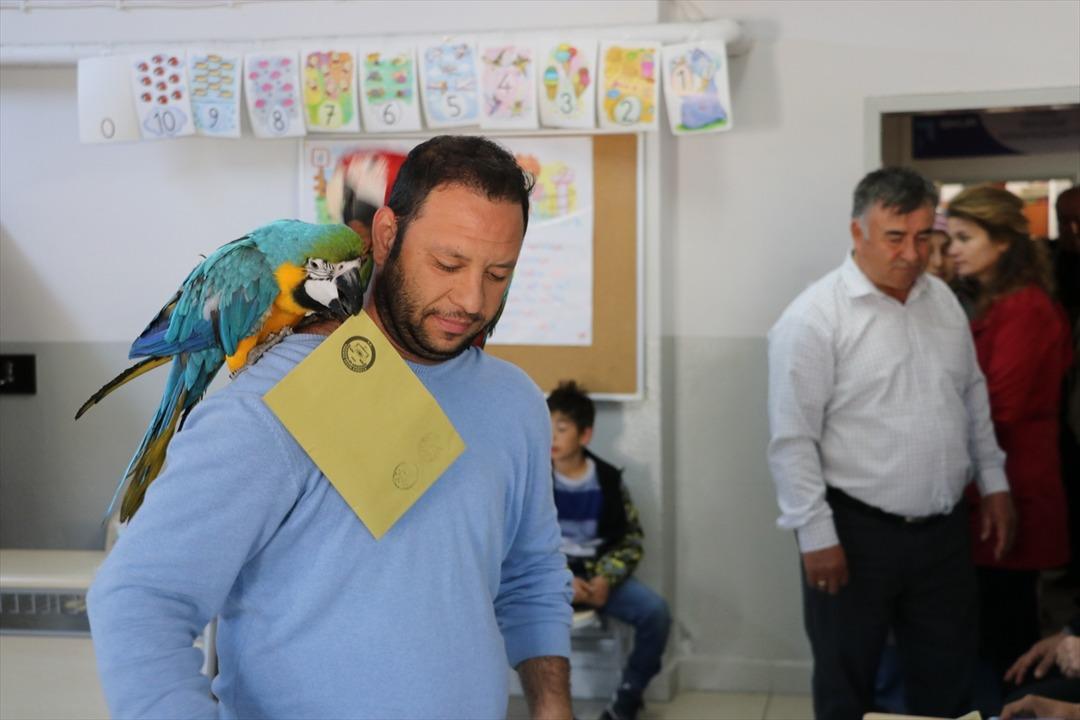 Papağanlarıyla sandıkta oyunu kullandı