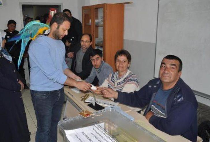  Türkiye sandık başında! Papağanıyla gelen de var, atıyla gelen de G3