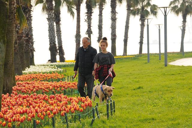 Kocaeli'de renk cümbüşü