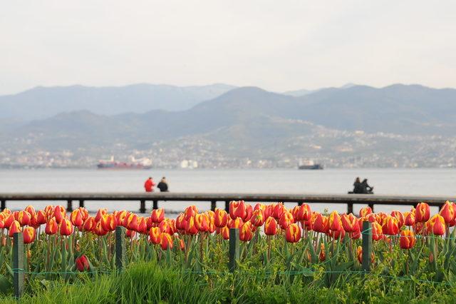 Kocaeli'de renk cümbüşü