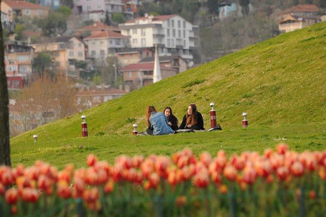 Kocaeli'de renk cümbüşü