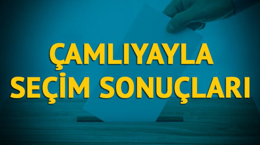 Çamlıyayla seçim sonuçları 2019: Mersin ilinin Çamlıyayla ilçesinde hangi parti, hangi aday?