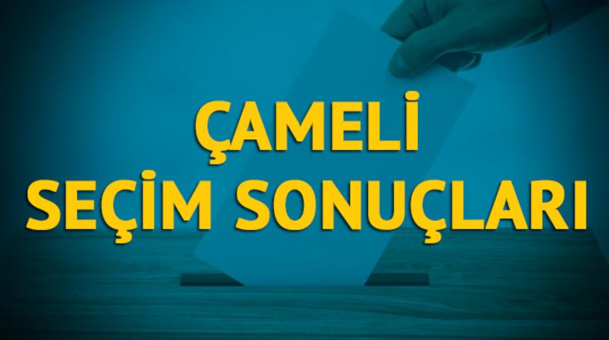 &Ccedil;ameli se&ccedil;im sonu&ccedil;ları 2019: Denizli ilinin &Ccedil;ameli il&ccedil;esinde hangi parti, hangi aday?