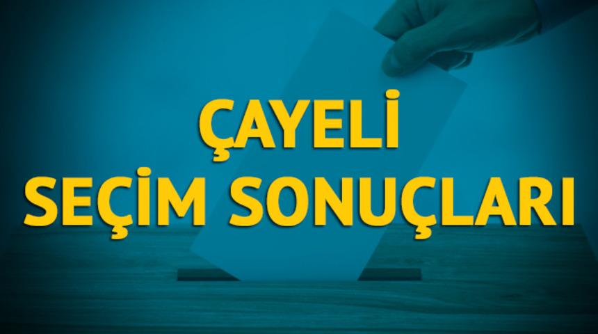 Çayeli seçim sonuçları 2019: Rize ilinin Çayeli ilçesinde hangi parti, hangi aday?