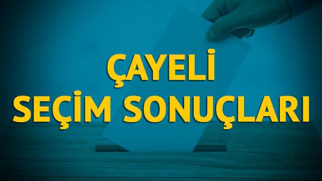 Çayeli seçim sonuçları 2019: Rize ilinin Çayeli ilçesinde hangi parti, hangi aday?