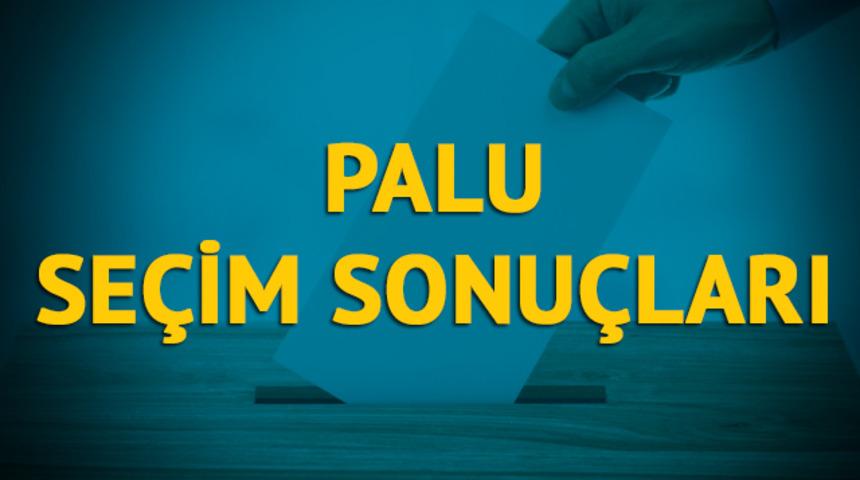 Palu seçim sonuçları 2019: Elazığ ilinin Palu ilçesinde hangi parti, hangi aday?