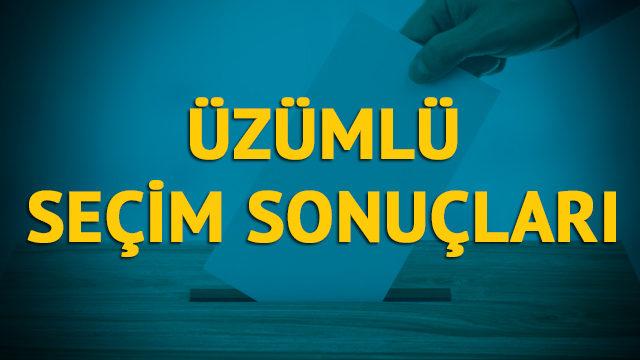 Üzümlü seçim sonuçları 2019: Erzincan ilinin Üzümlü ilçesinde hangi parti, hangi aday?
