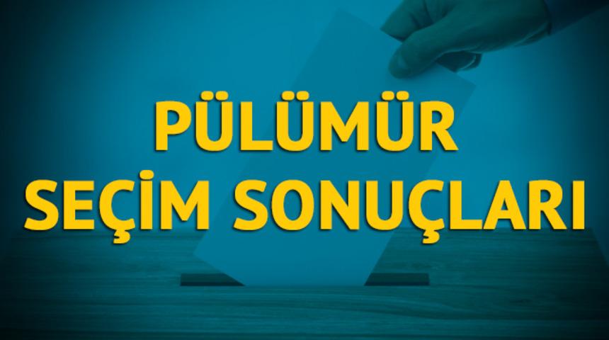 Pülümür seçim sonuçları 2019: Tunceli ilinin Pülümür ilçesinde hangi parti, hangi aday?