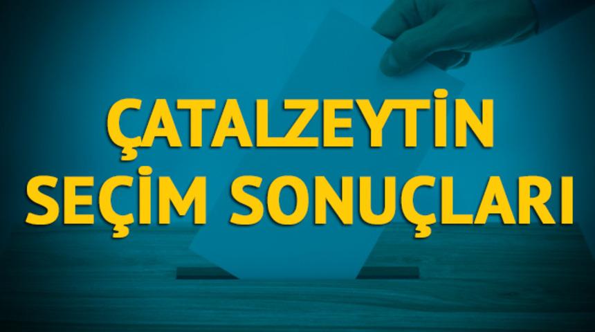 Çatalzeytin seçim sonuçları 2019: Kastamonu ilinin Çatalzeytin ilçesinde hangi parti, hangi aday? 