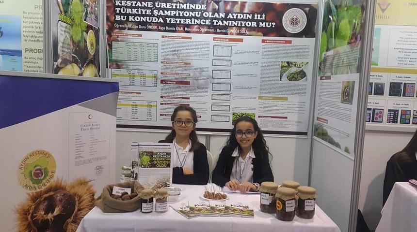 Kestane konulu projeleri ile finale kaldılar