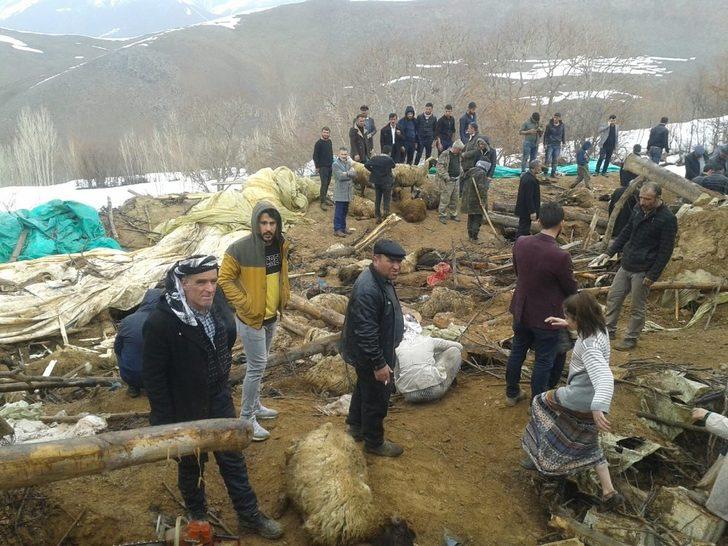 Çatak’ta hır çöktü 374 küçükbaş hayvan telef oldu G1