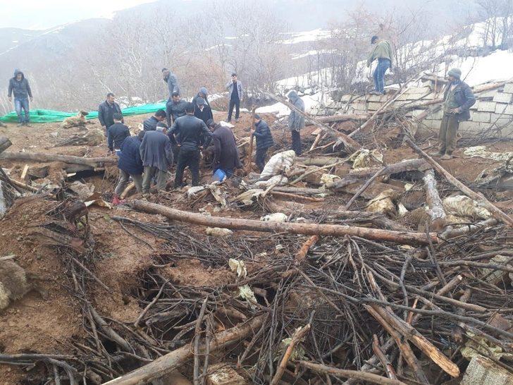 Çatak’ta hır çöktü 374 küçükbaş hayvan telef oldu G4