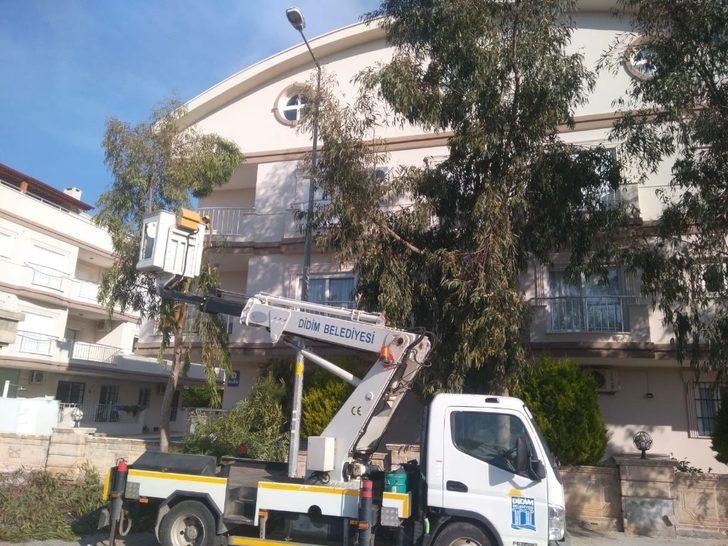 Didim Belediyesinden bahar temizliği G2