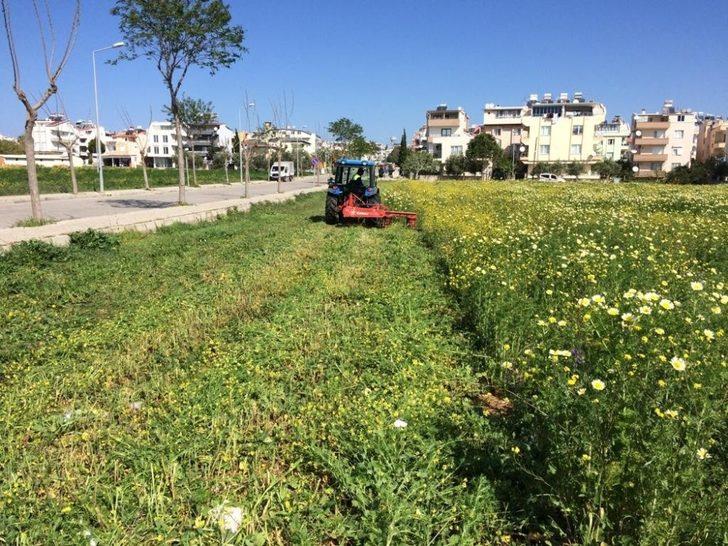 Didim Belediyesinden bahar temizliği G3