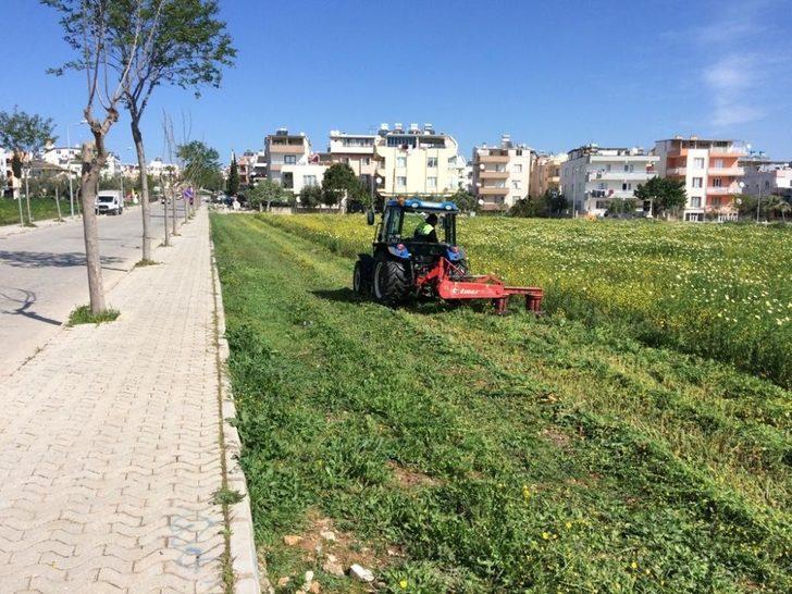 Didim Belediyesinden bahar temizliği G4