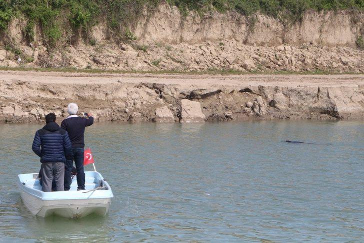 Görür görmez telefona sarıldılar! Aksu Çayı'nda şaşırtan anlar G1