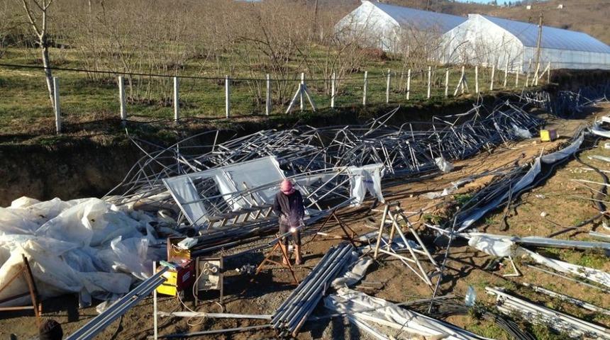 Kesme &ccedil;i&ccedil;ek seraları &uuml;reticileri destek bekliyor
