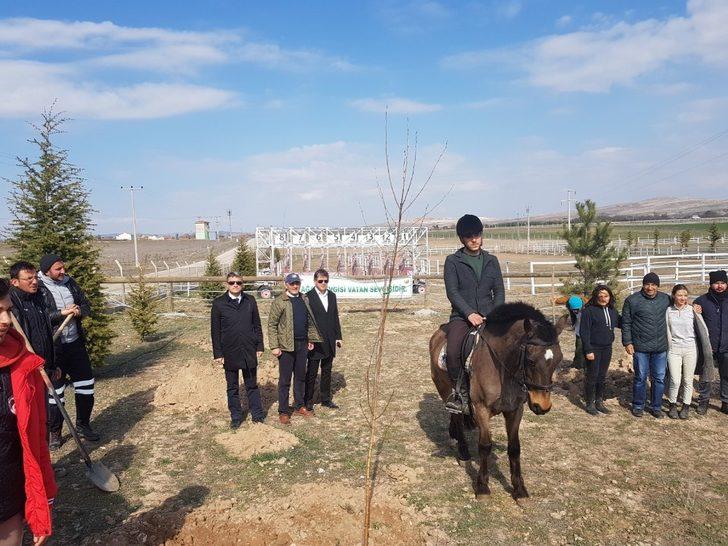 Fidan dikimine atları ile geldiler G3