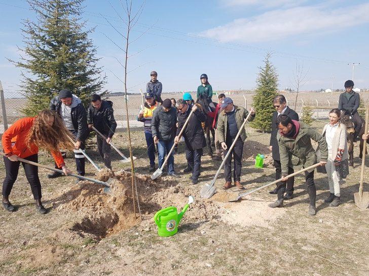 Fidan dikimine atları ile geldiler G4