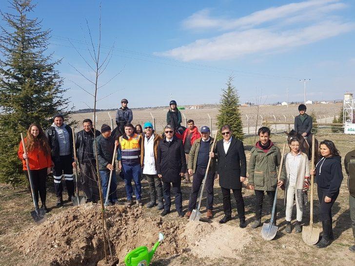 Fidan dikimine atları ile geldiler G5