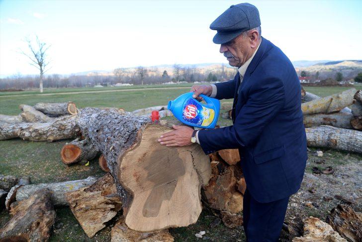 Ağaç gövdesinden kadın silüeti çıktı! G2