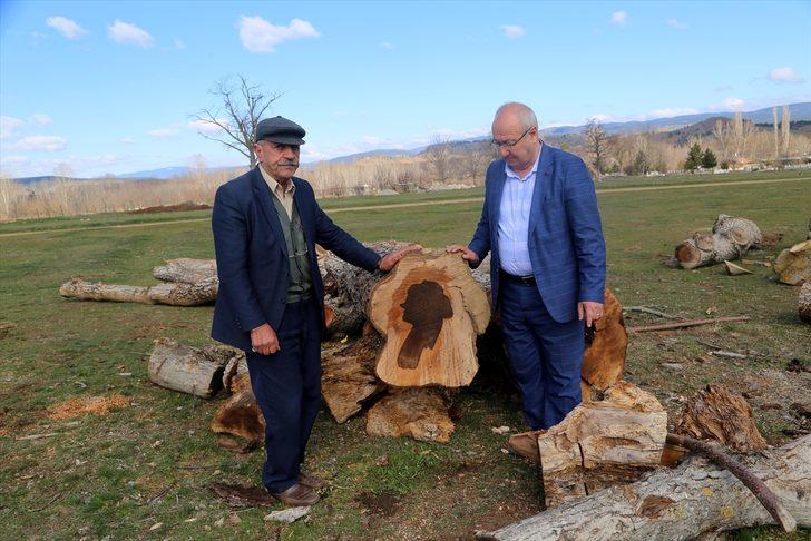 Ağaç gövdesinden kadın silüeti çıktı! G5