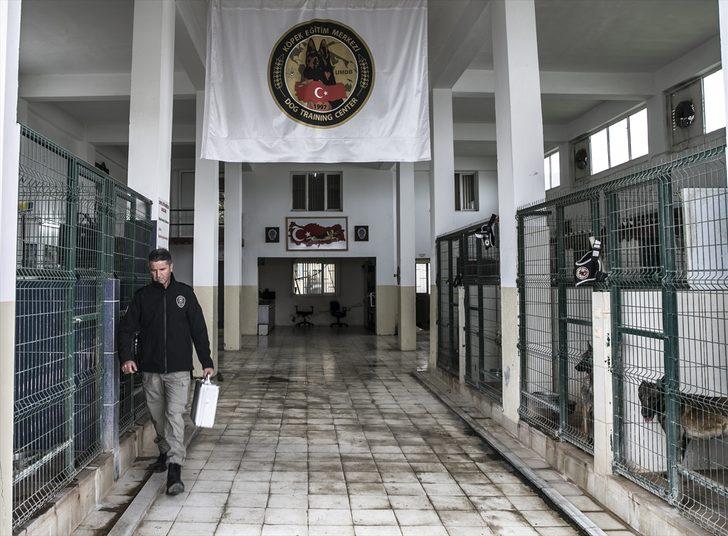 'Hassas burunlar' zehir tacirlerine geçit vermiyor  G1