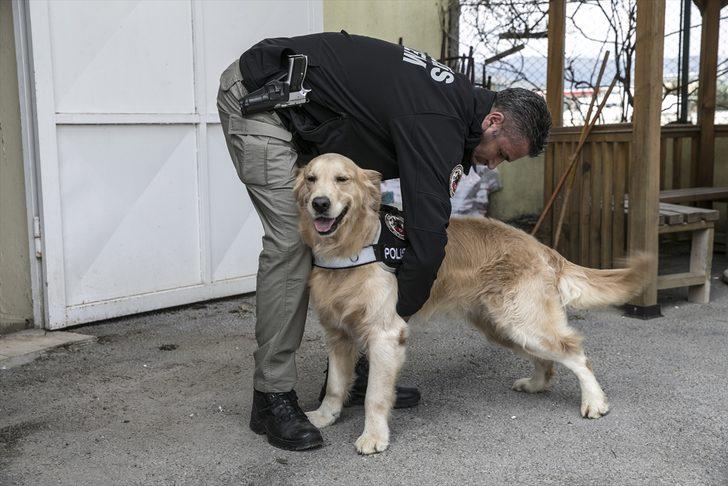 'Hassas burunlar' zehir tacirlerine geçit vermiyor  G3