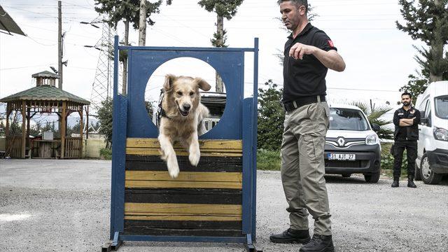 'Hassas burunlar' zehir tacirlerine geçit vermiyor 