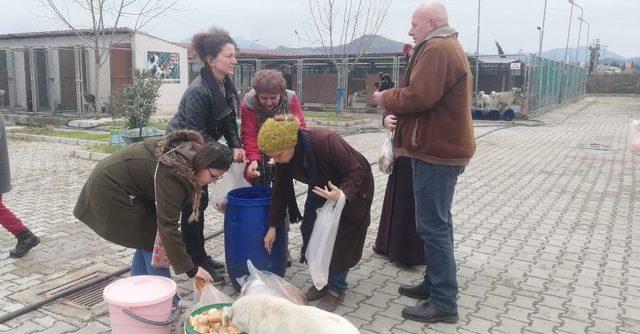 Hayvanları elleri ile beslediler