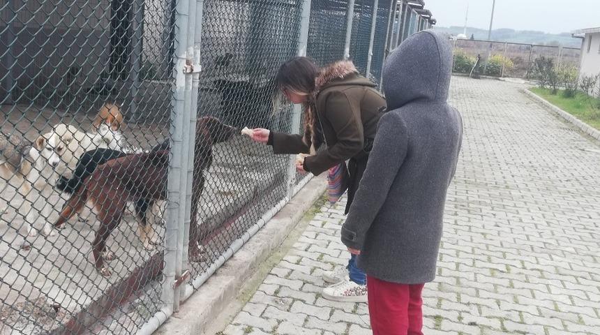 Hayvanları elleri ile beslediler