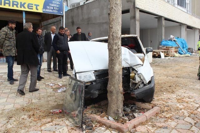 Elazığ’da otomobil ağaca çarptı: 4 yaralı