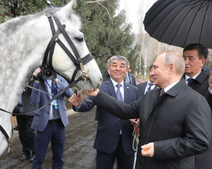 Putin’in ‘dört ayaklı ordusu’  G1