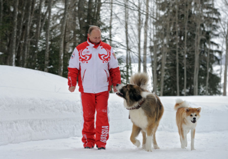 Putin’in ‘dört ayaklı ordusu’  G2