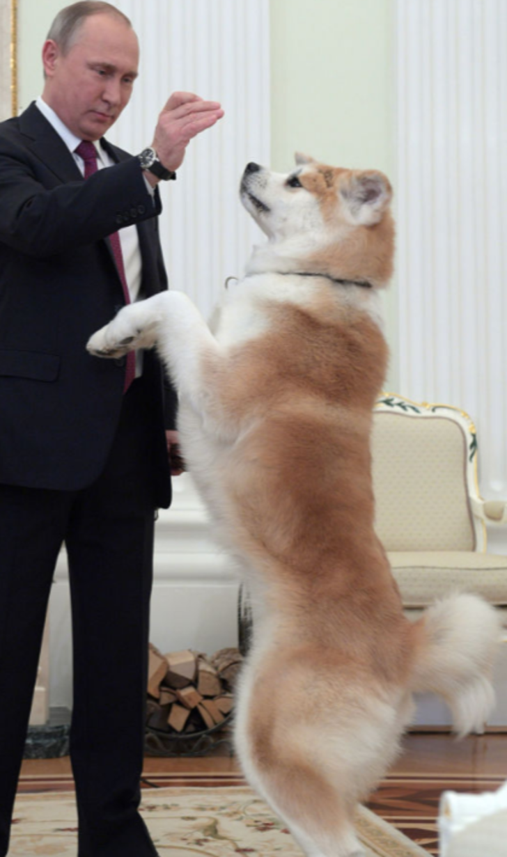 Putin’in ‘dört ayaklı ordusu’  G3