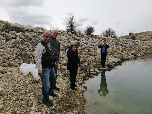 Antalya’da 3 gölete 50 bin yavru sazan balığı bırakıldı