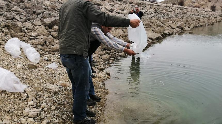 Antalya&rsquo;da 3 g&ouml;lete 50 bin yavru sazan balığı bırakıldı