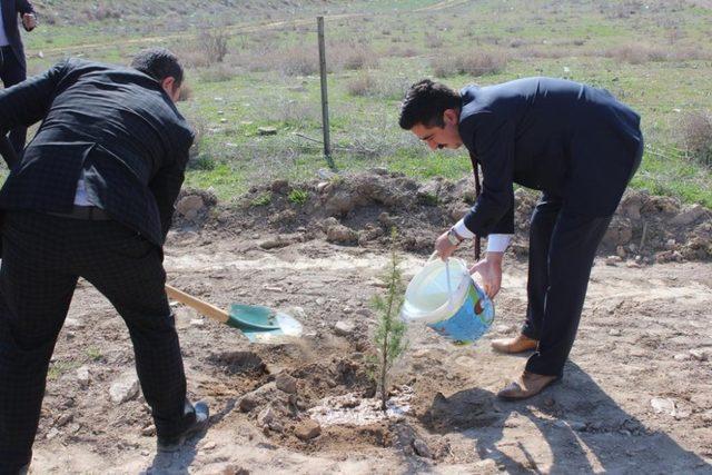 Bolvadin de ’Adalet Ormanı’ oluşturuldu