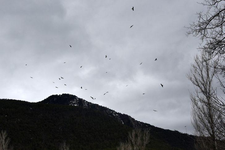 Bir anda gökyüzünü sardılar, Gümüşhane’de ilk kez görüntülendiler G5