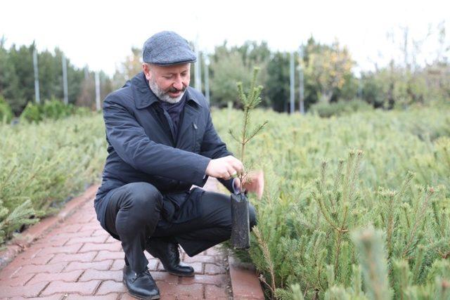 Başkan Çolakbayrakdar, “Hedefimiz; 5 Yılda 500 Bin Ağaç Dikmek