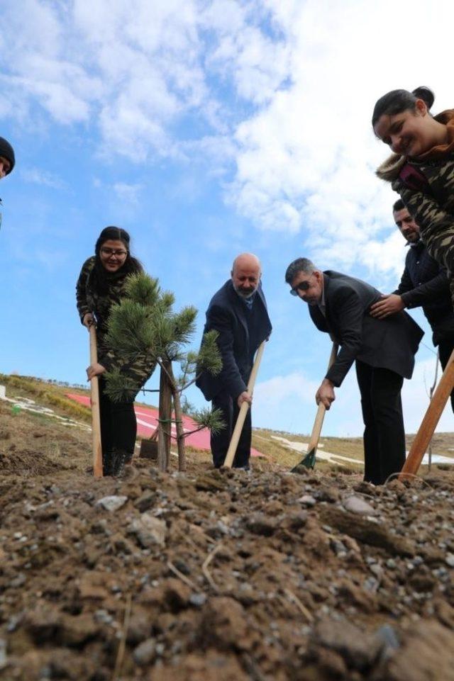 Başkan Çolakbayrakdar, “Hedefimiz; 5 Yılda 500 Bin Ağaç Dikmek