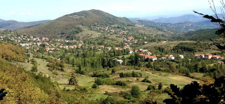 Kendisi bile kendisine oy atmamış! Duyan telefona sarılıyor G1